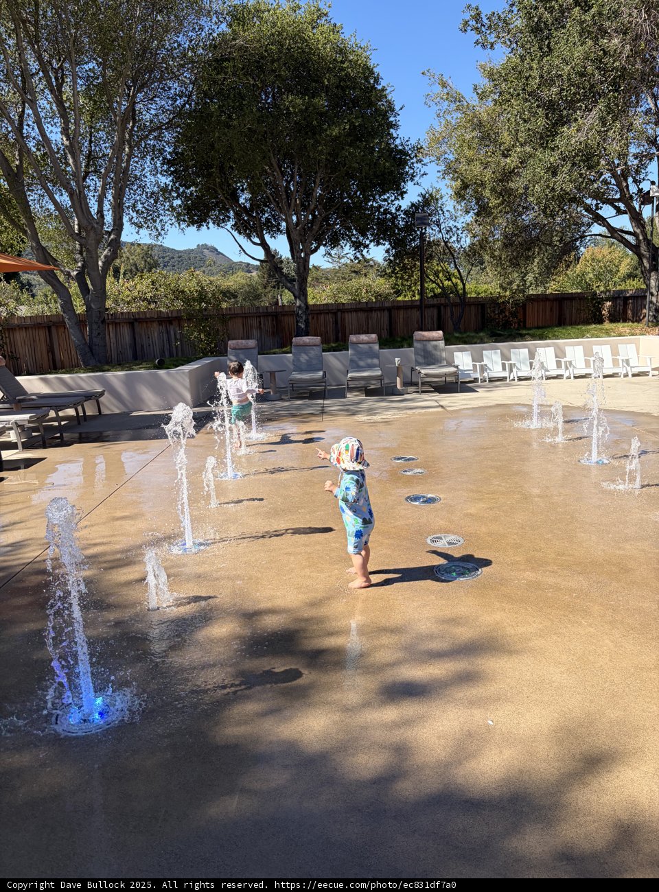 Splashing Into Joy