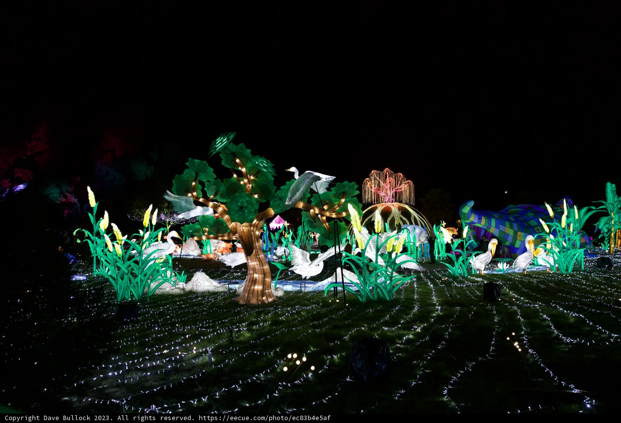 Illuminations at the Oakland Zoo Glowfari 2023