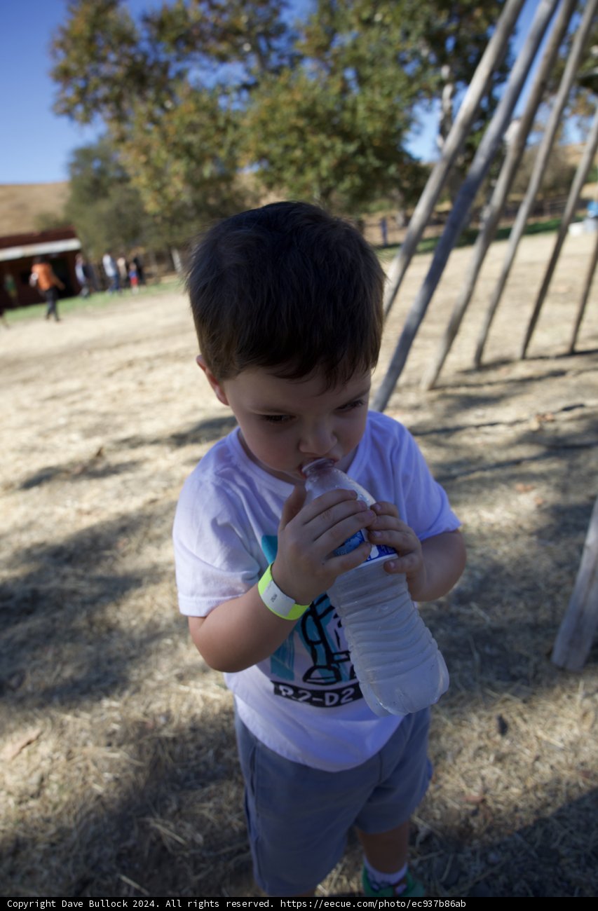 Playful Refreshment