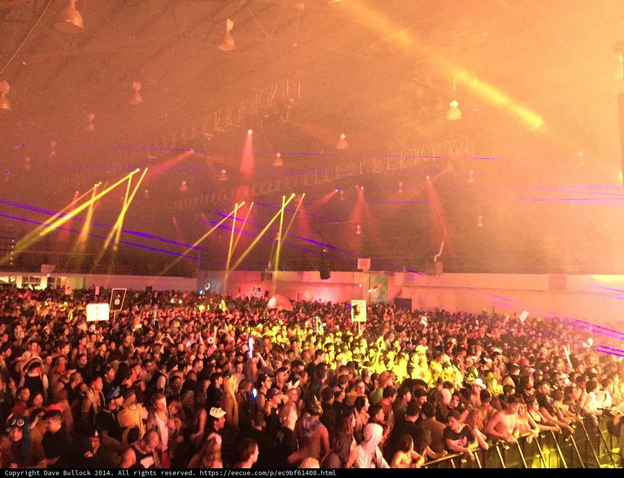 Electric Nightclub Crowd
