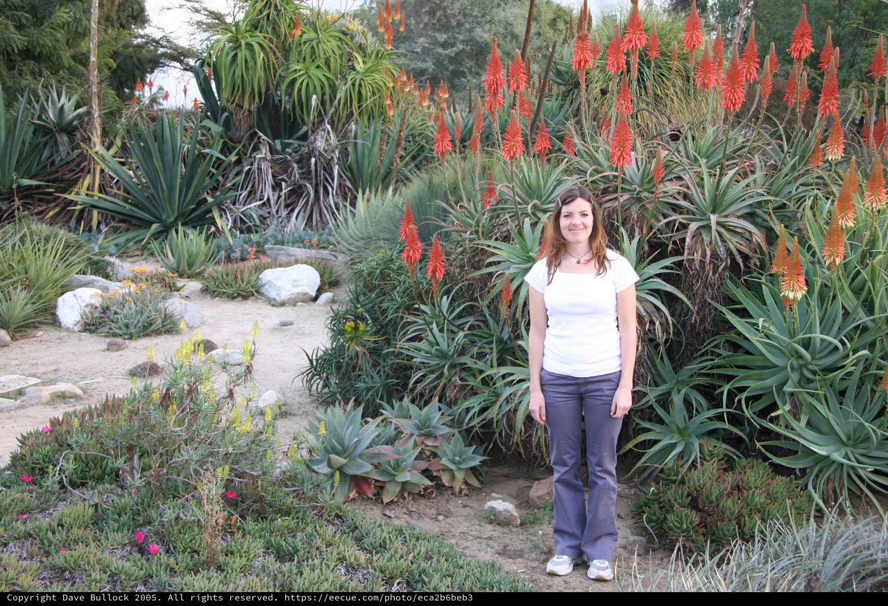 Woman Posing Among Blooming Aloe Plants in Desert Garden