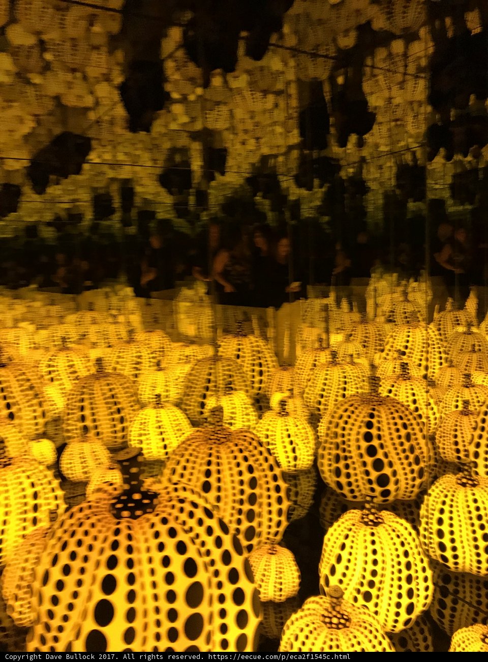 Polka Dot Party