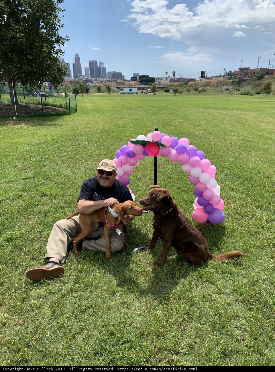 Man's Best Friends in the Park