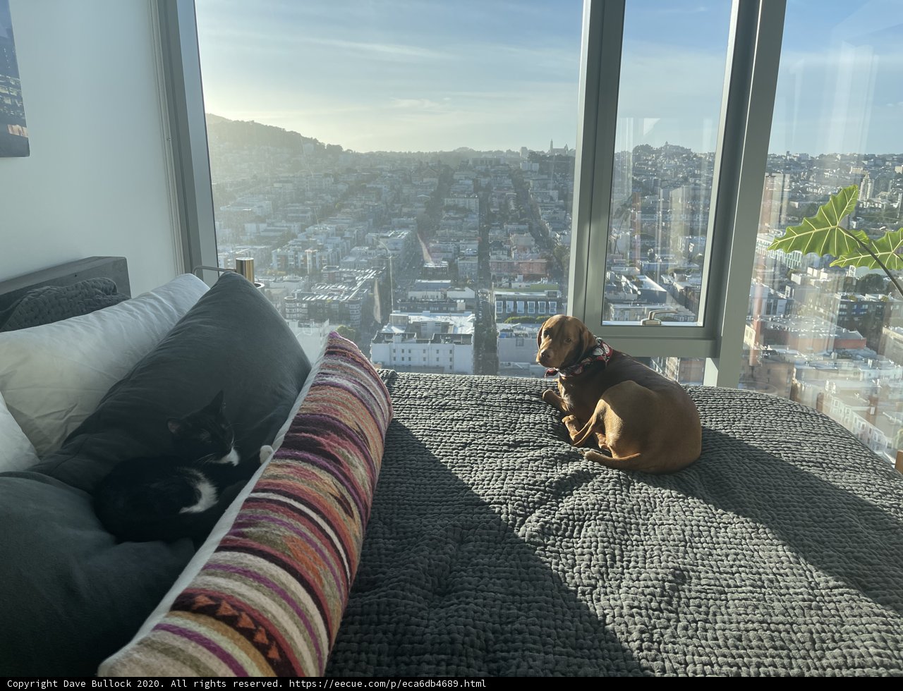 Urban Comfort