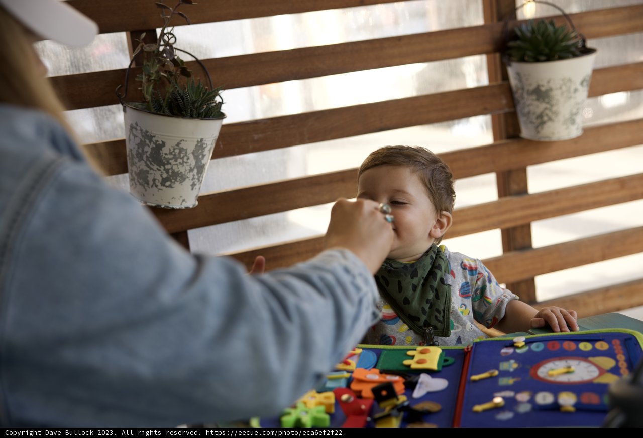 Engaging in Playtime on A Special Day
