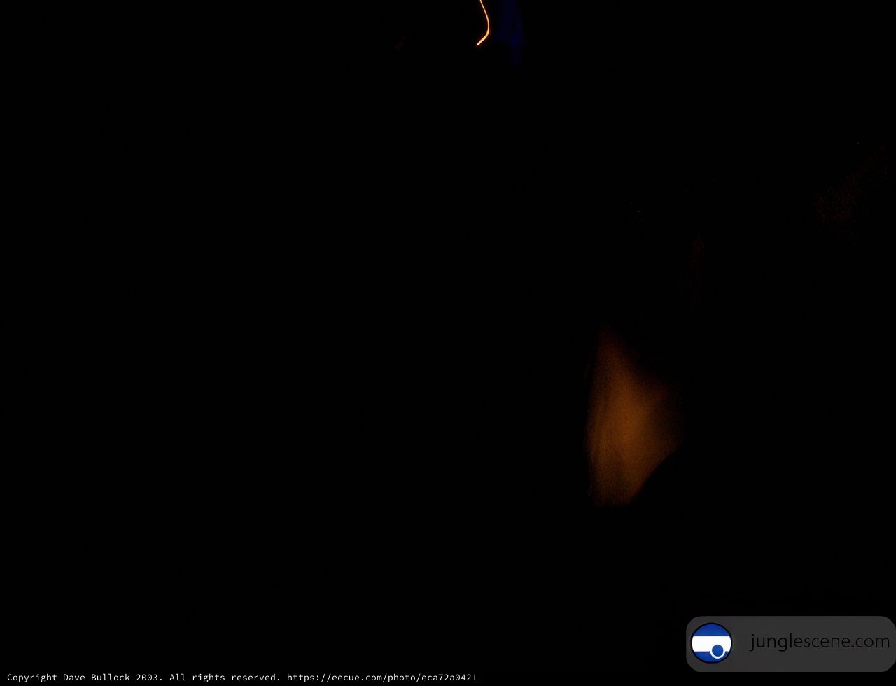 Nighttime Exploration