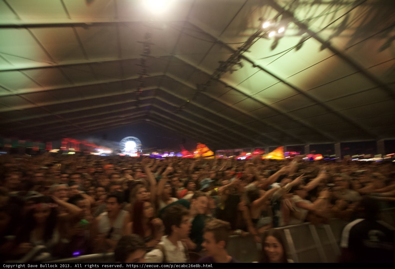 Coachella Concertgoers Rocking the Night Away