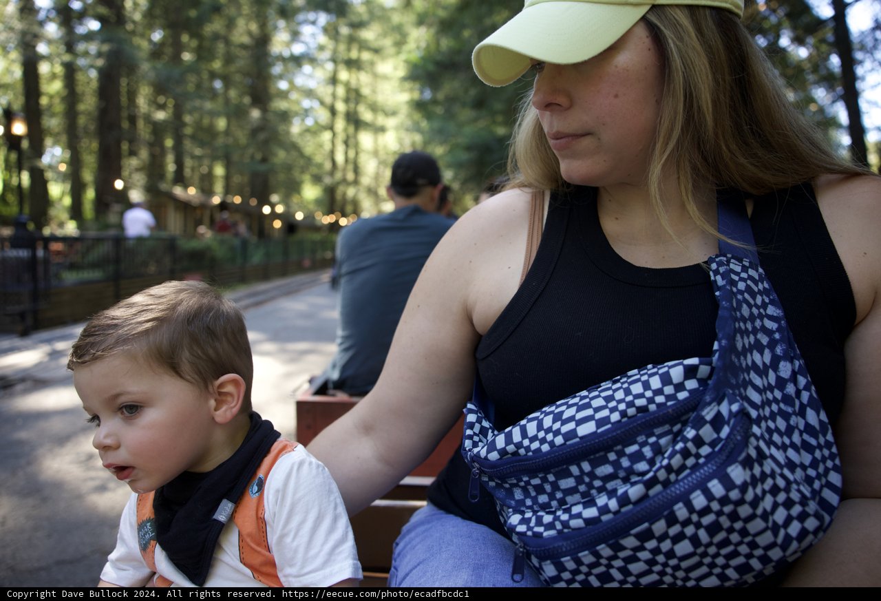 A Day of Discovery at Tilden Park