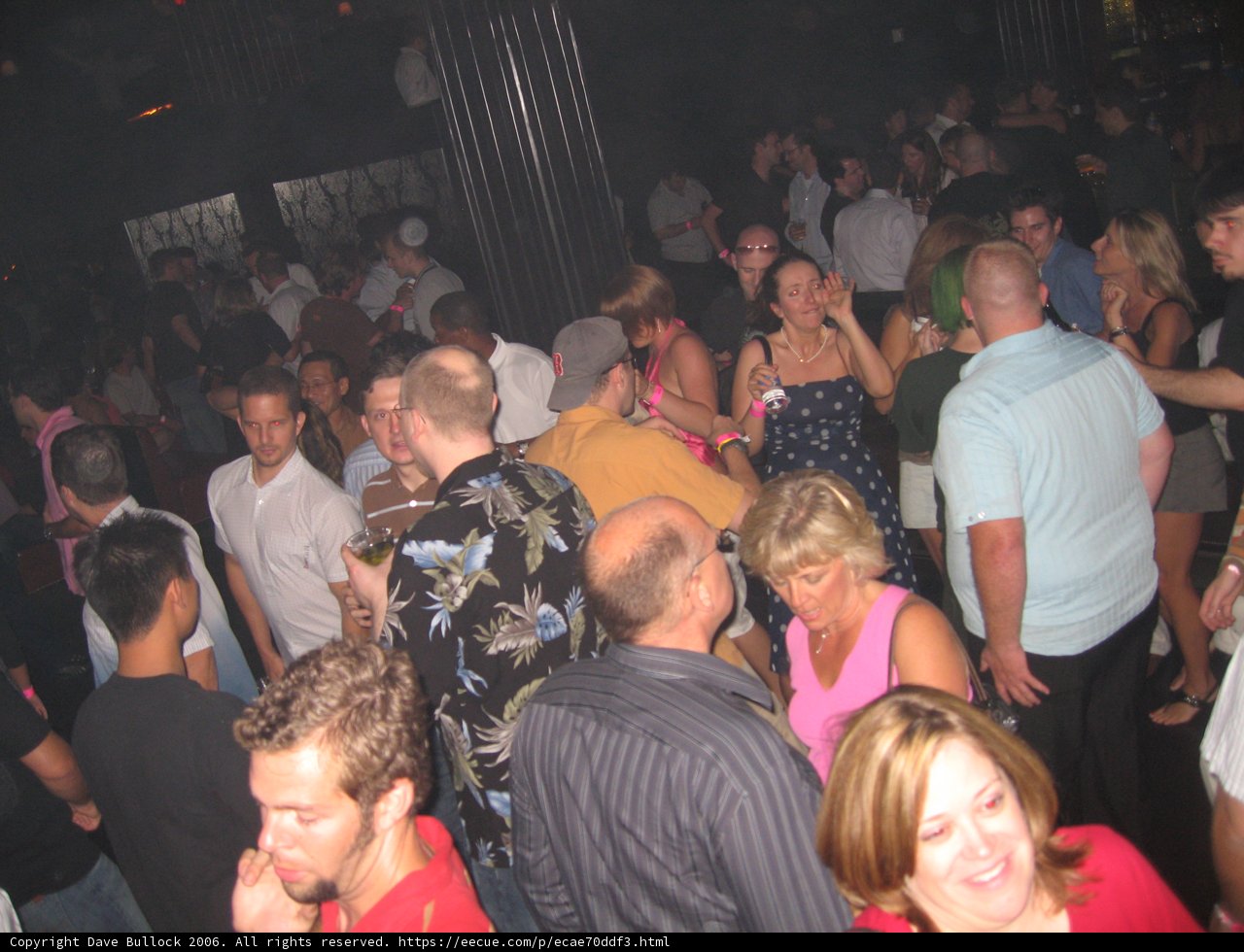 Nightlife in the Urban Jungle