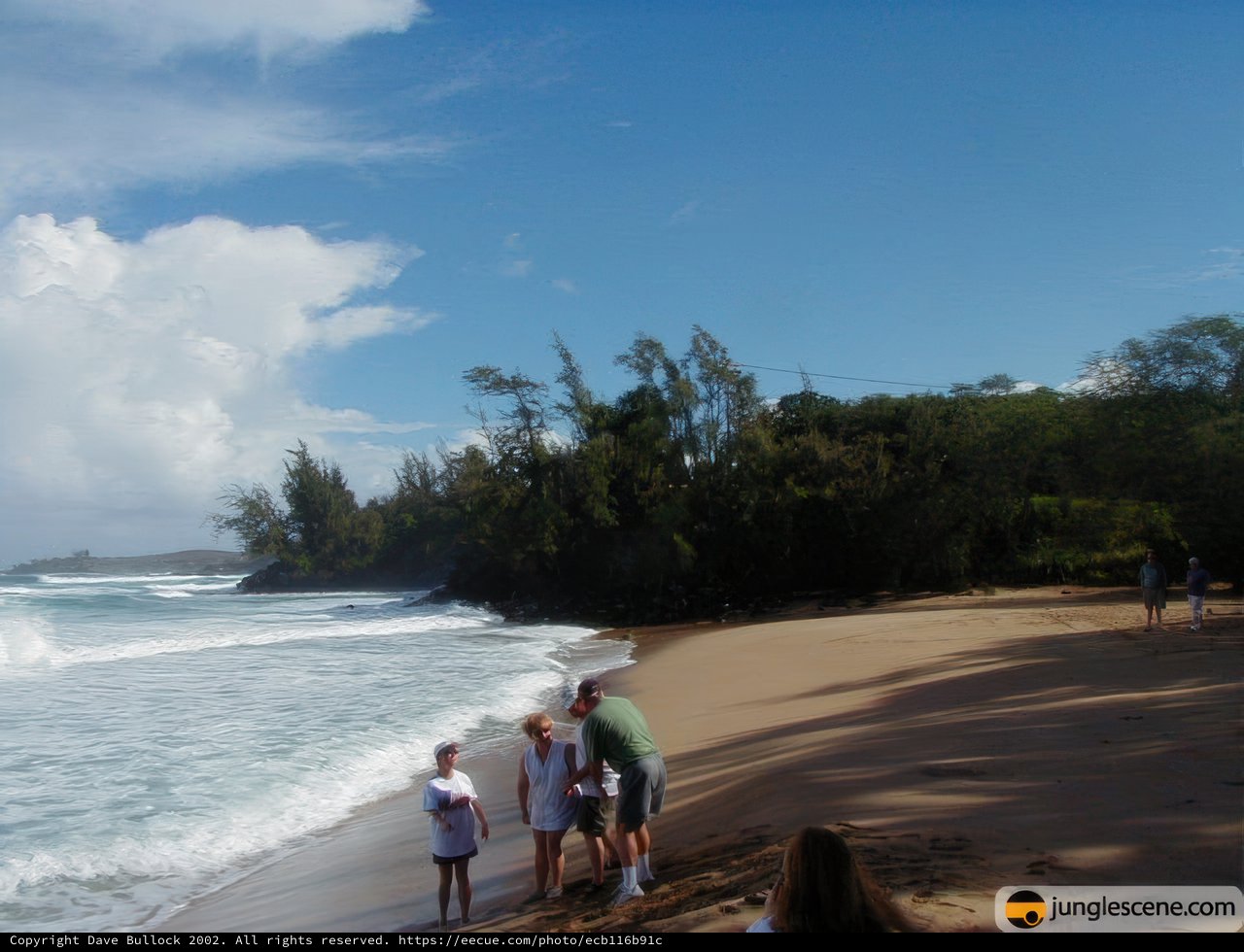 Fun in the Sun at Hawaii's Beautiful Shoreline