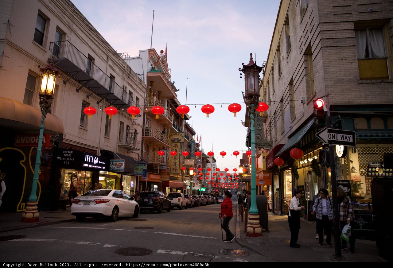 Illuminated Chinatown: Chinese New Year Celebration