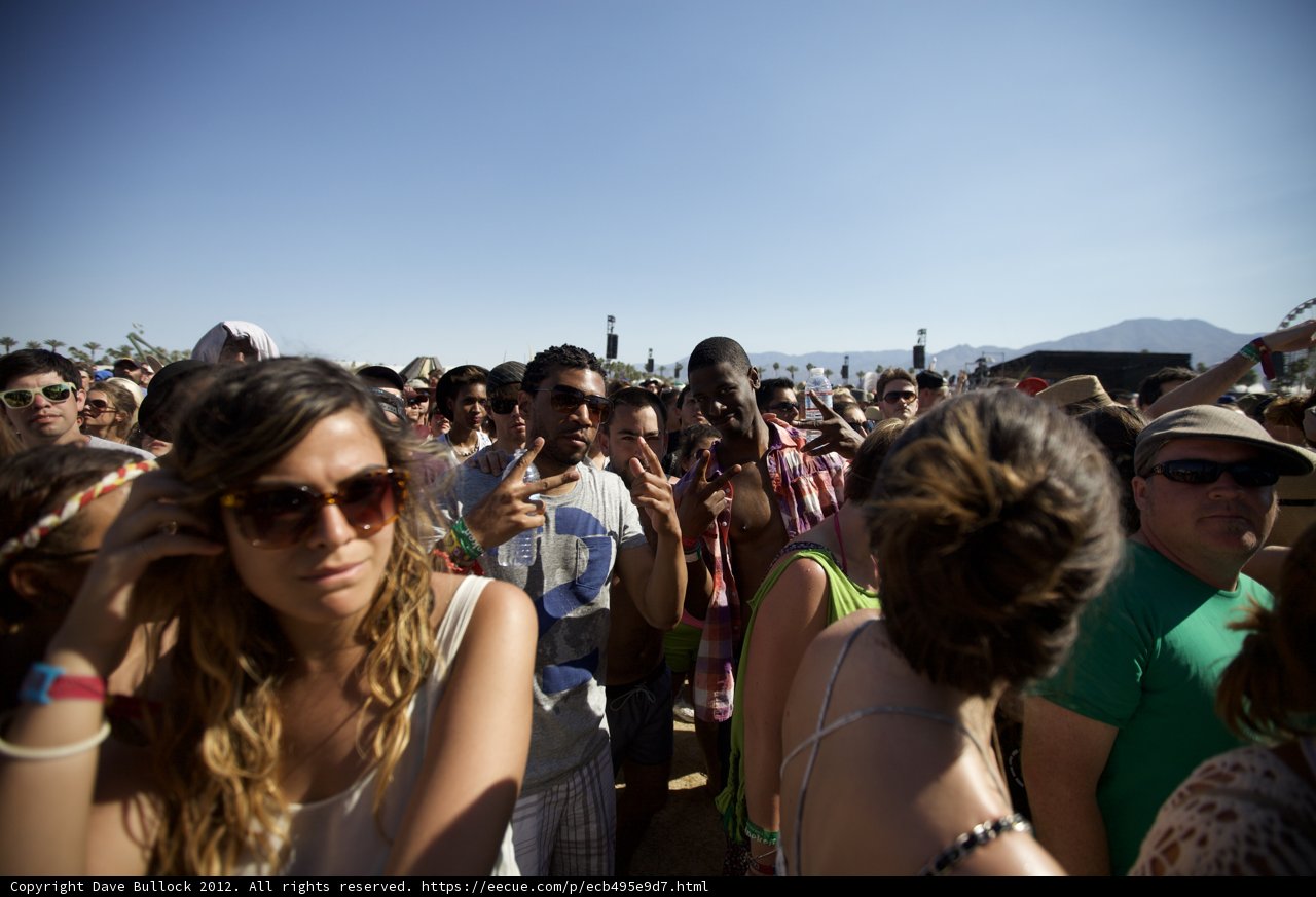 The Ultimate Music Fest Experience