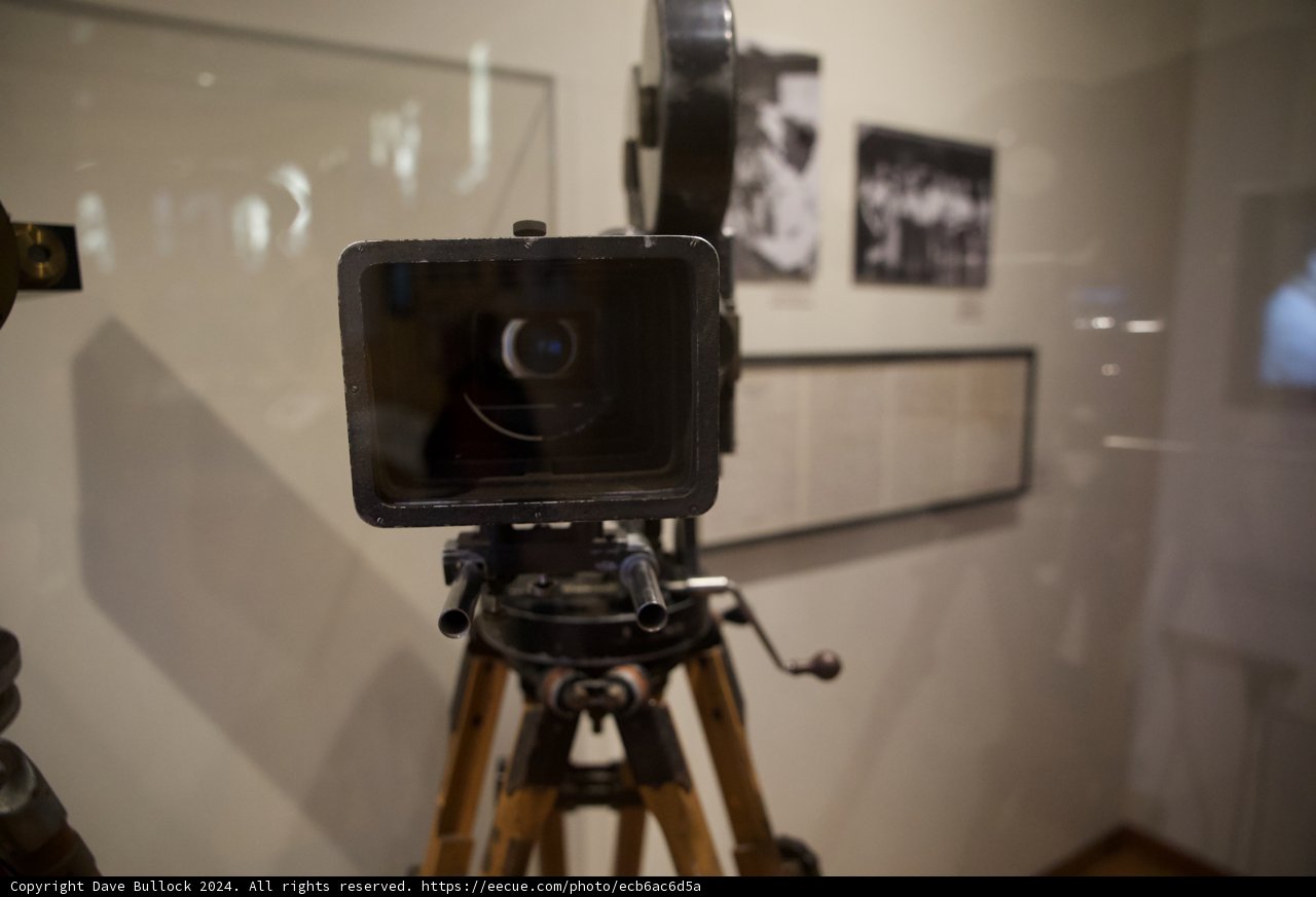 Capturing Moments in Museums