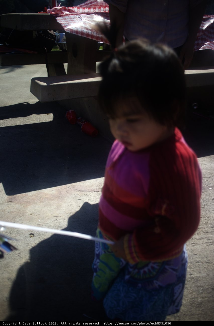 Letting Her Dreams Fly