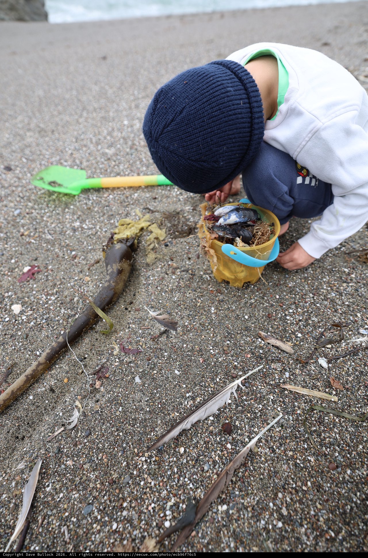 Young Explorer Collecting Beach Treasures in Bucket