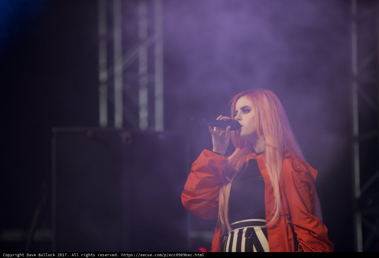 Rocking the Crowd Caption: A female entertainer with long hair serenades the crowd during her solo performance at Coachella 2017. She belts soul-stirring tunes into her microphone while the electric audience groove to her music. #Concert #RockConcert #Singer #Musician #Entertainer #Performance #Crowd #Female #Microphone #Stage