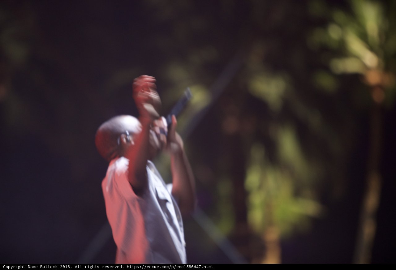 Captivating Concert Performance