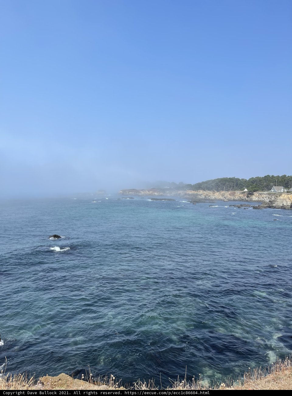 Cliffside Serenity