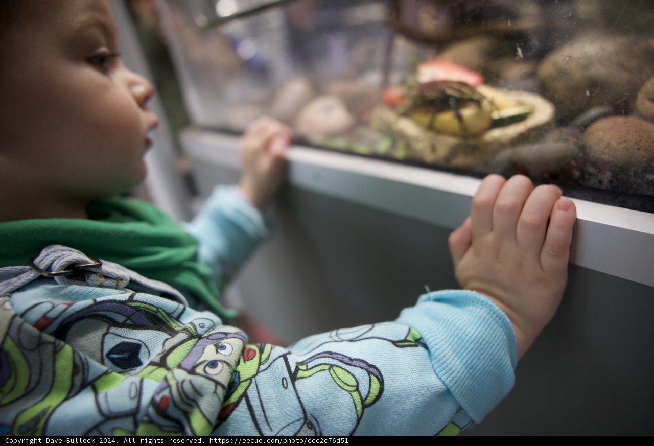 The Aquatic Discovery at the California Academy of Sciences