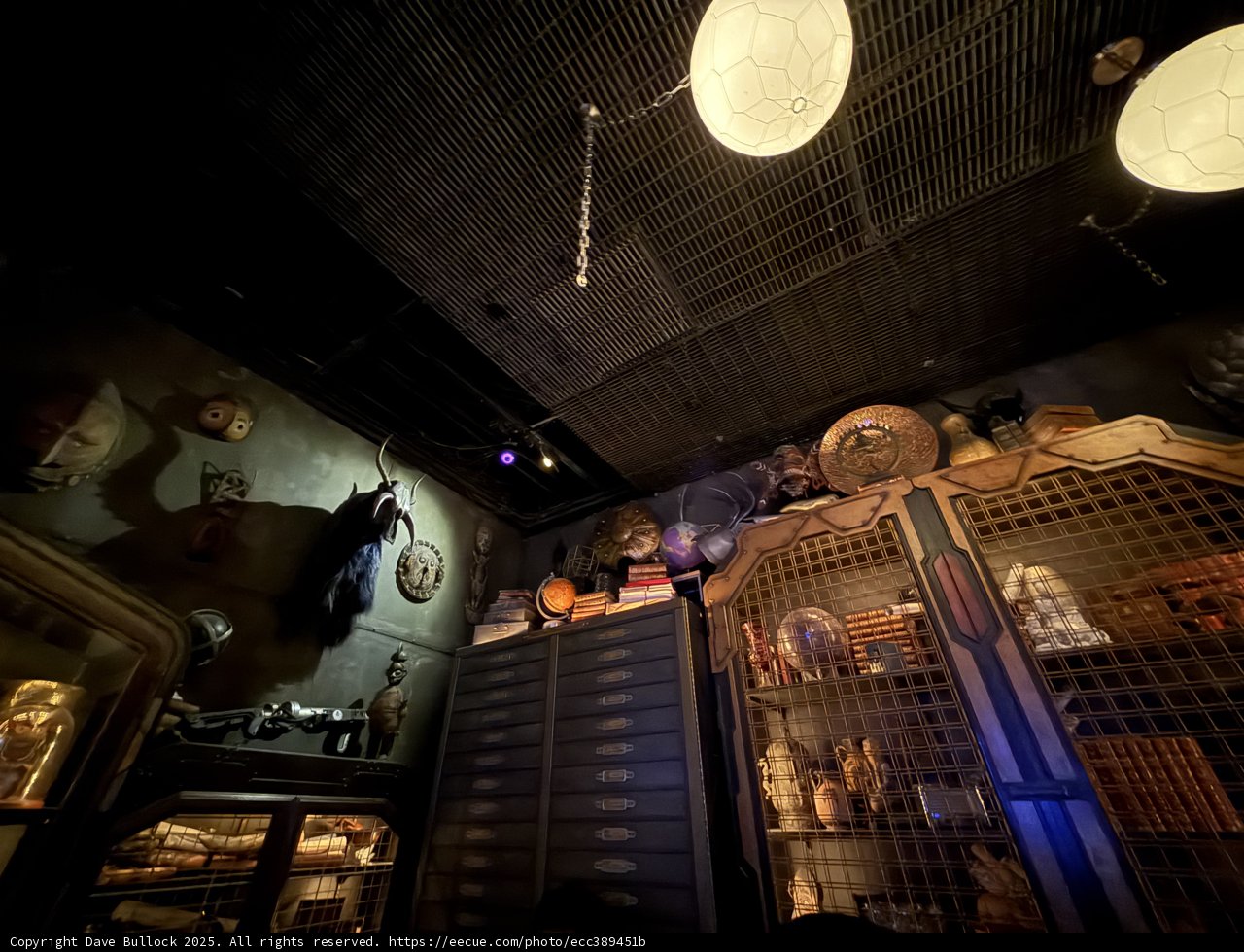 Enchanted Curiosities within Disney's Depths