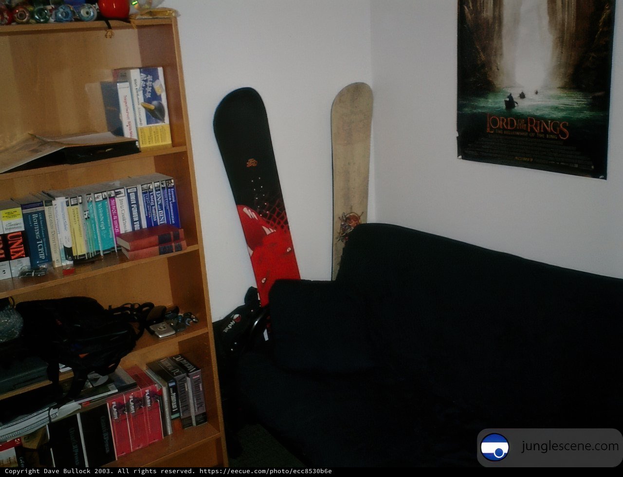 Cozy Corner on Black Couch