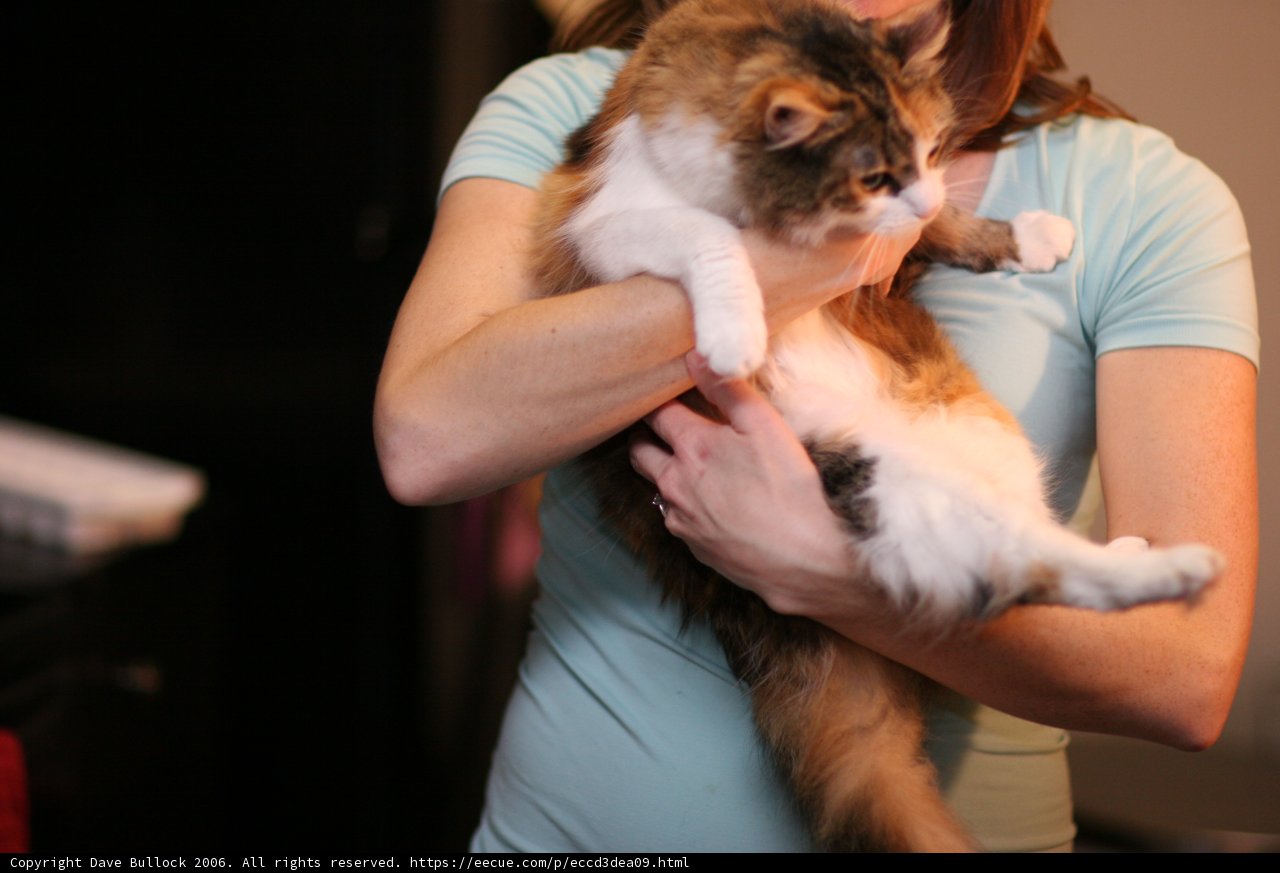 Woman with her Feline Friend