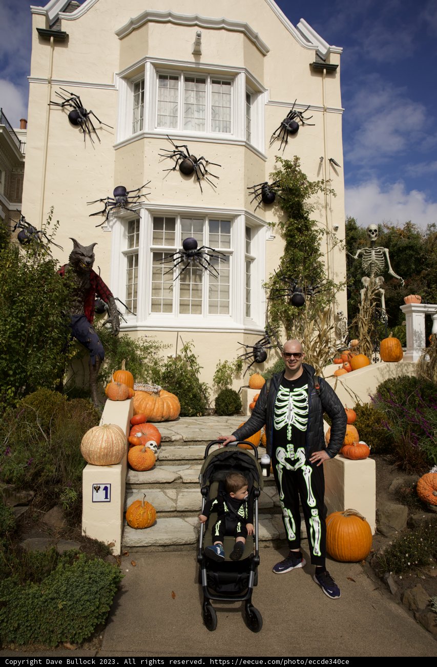 Halloween Vibes in the Heart of San Francisco