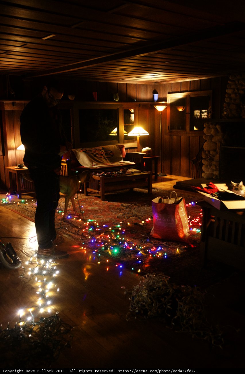 Festive Lighting