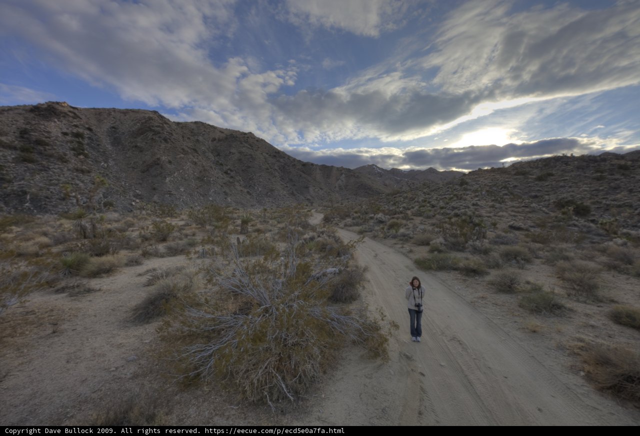 Journey through Joshua Tree