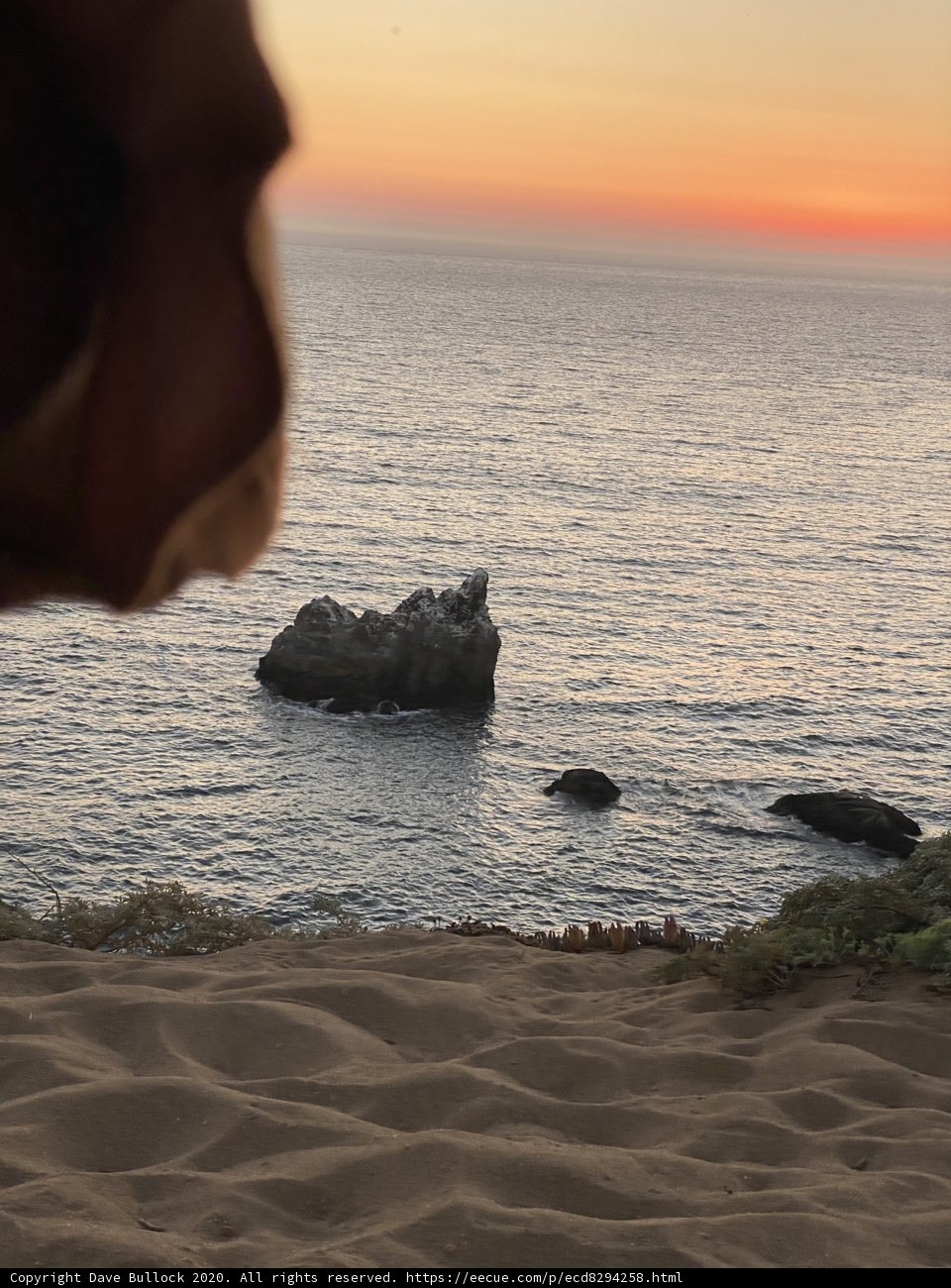 Gazing at the Golden Horizon