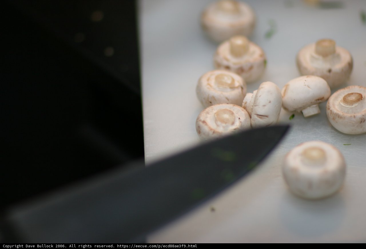 Mushroom Madness