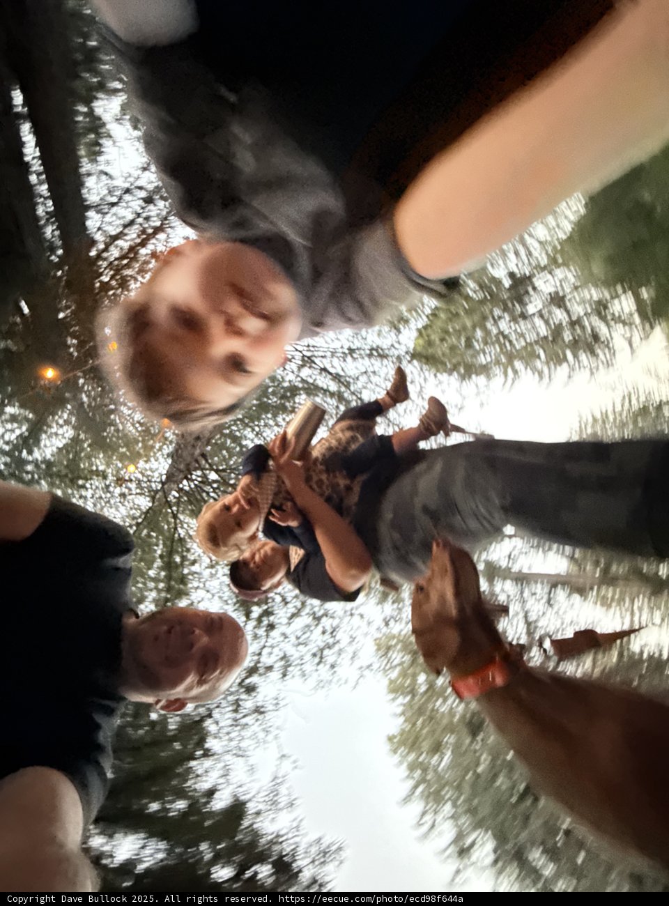 Woodland Family Adventure