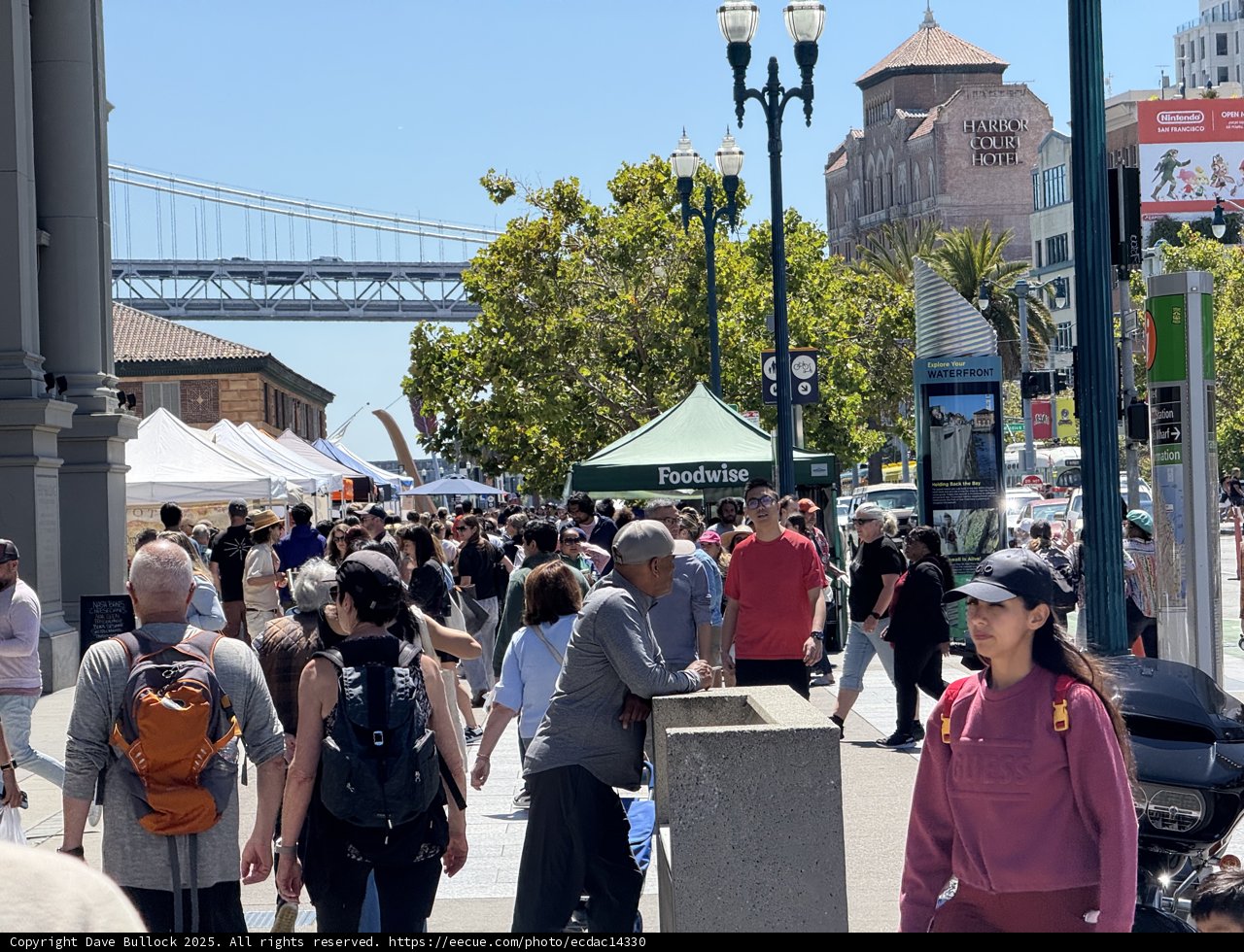 Bustling Saturday at the Market