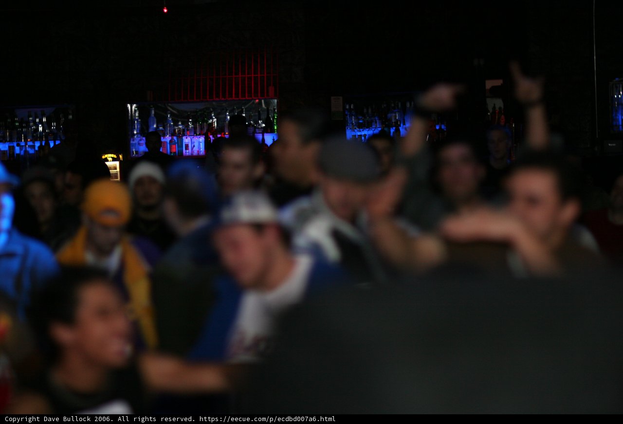 Party Animals at the Urban Night Club