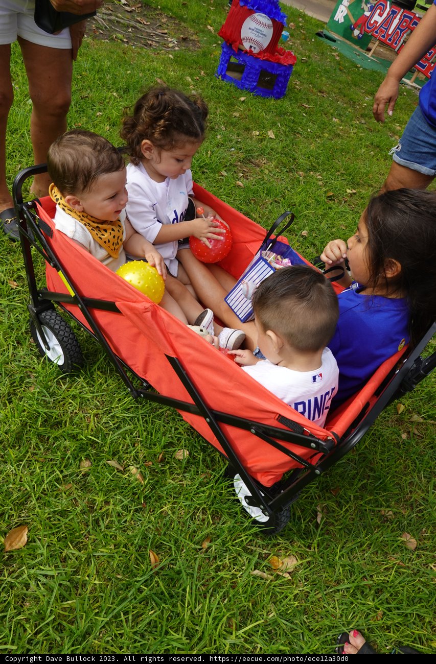 Whimsical Wagon Ride