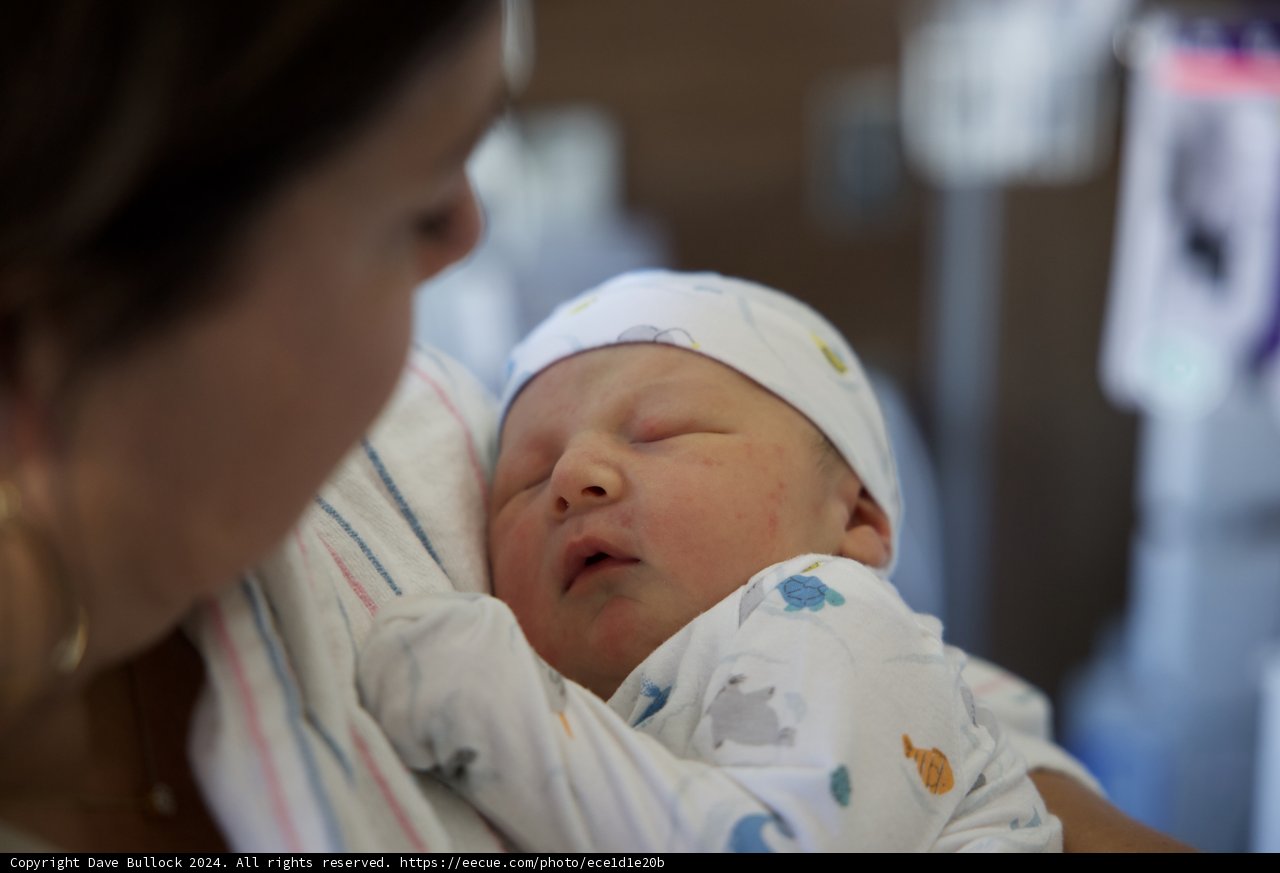 Welcome to the World, Leland