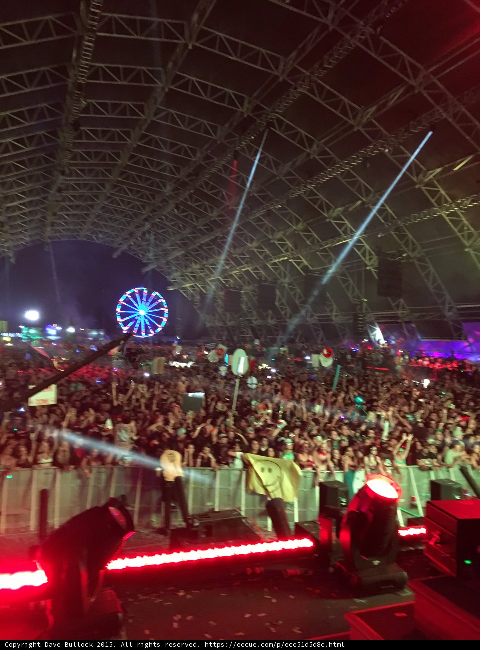 Concert Under the Night Sky