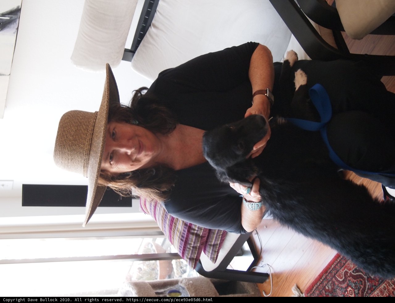 Sun Hat Adventures