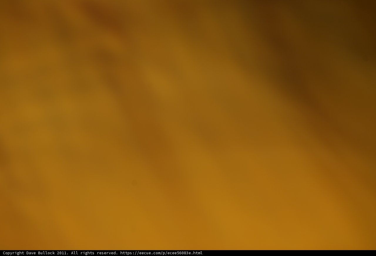 The Vibrant Wood Grain