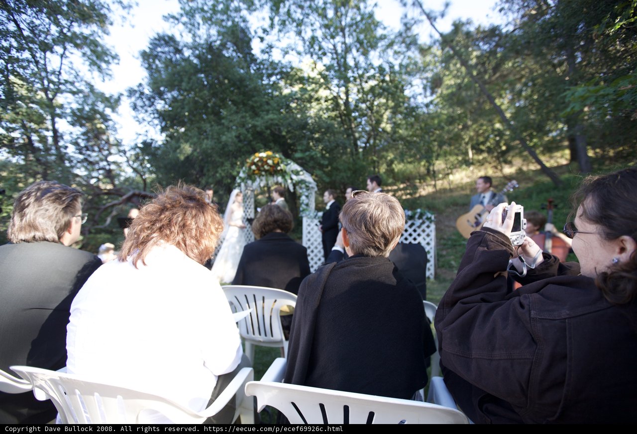 A Woodland Wedding