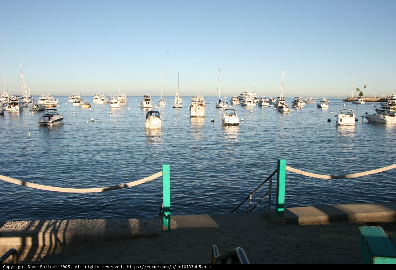 Serene Harbor View