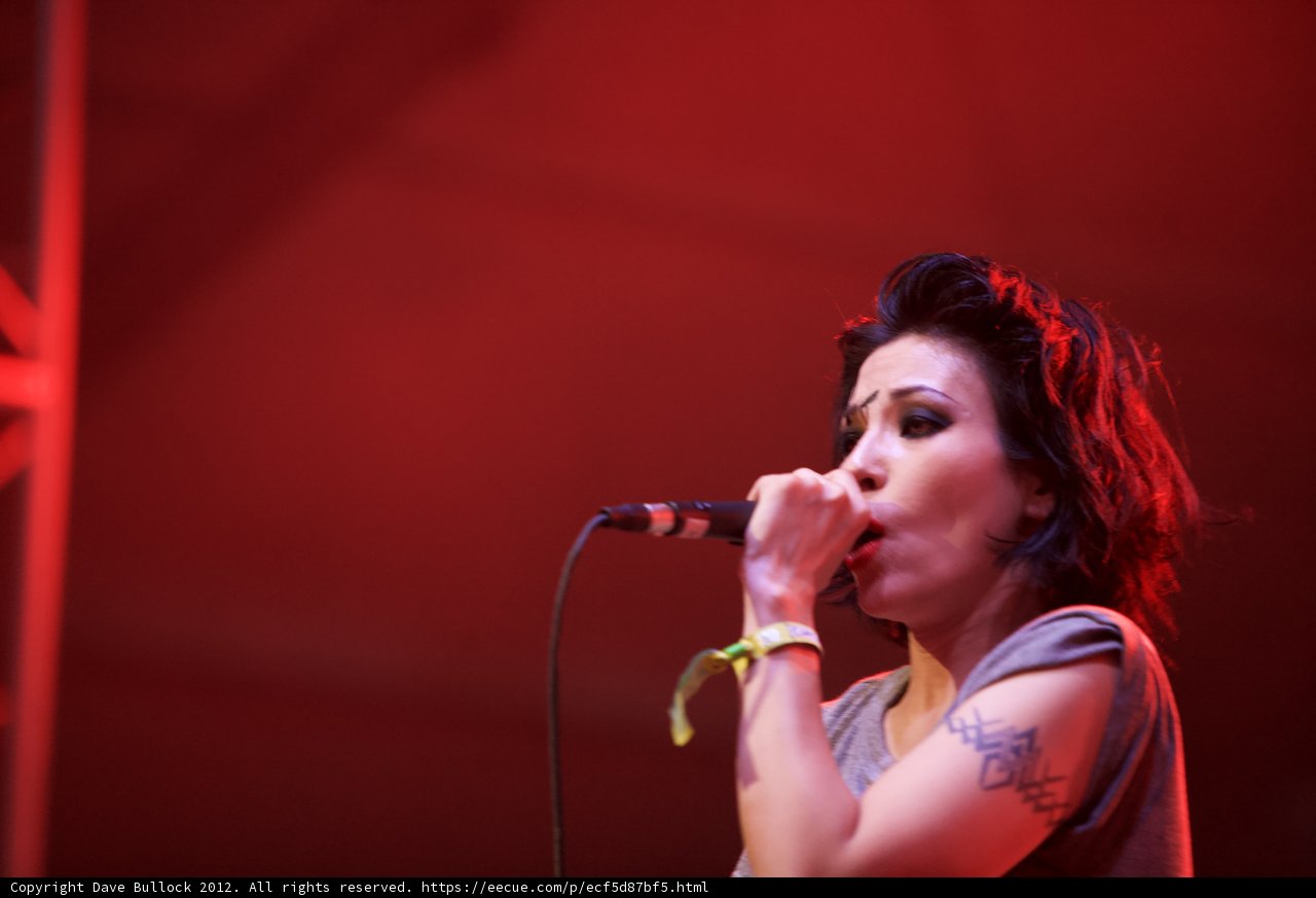 Tattooed Singer Rocks Coachella Crowd