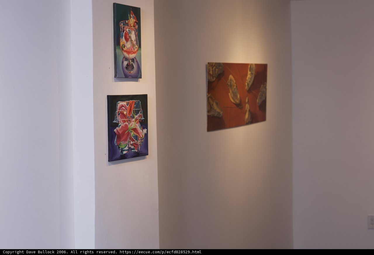 Art Gallery Hallway