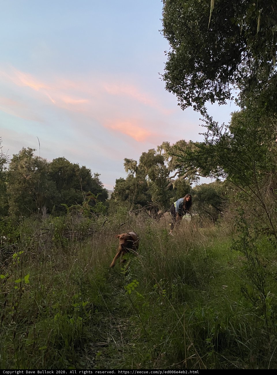 Riding Through the Wilderness