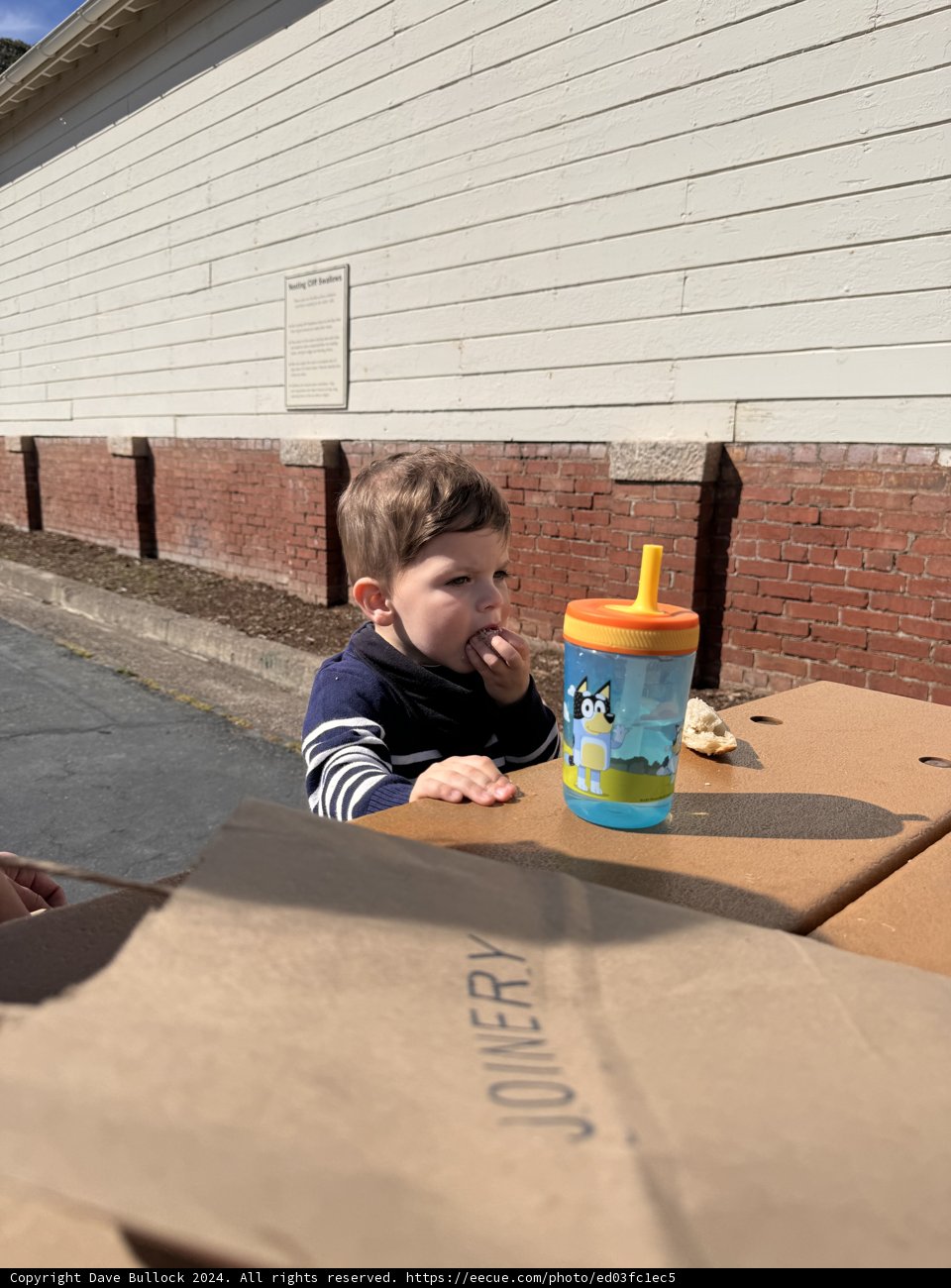 Simply Joyful: Wesley's Afternoon on Urban Streets