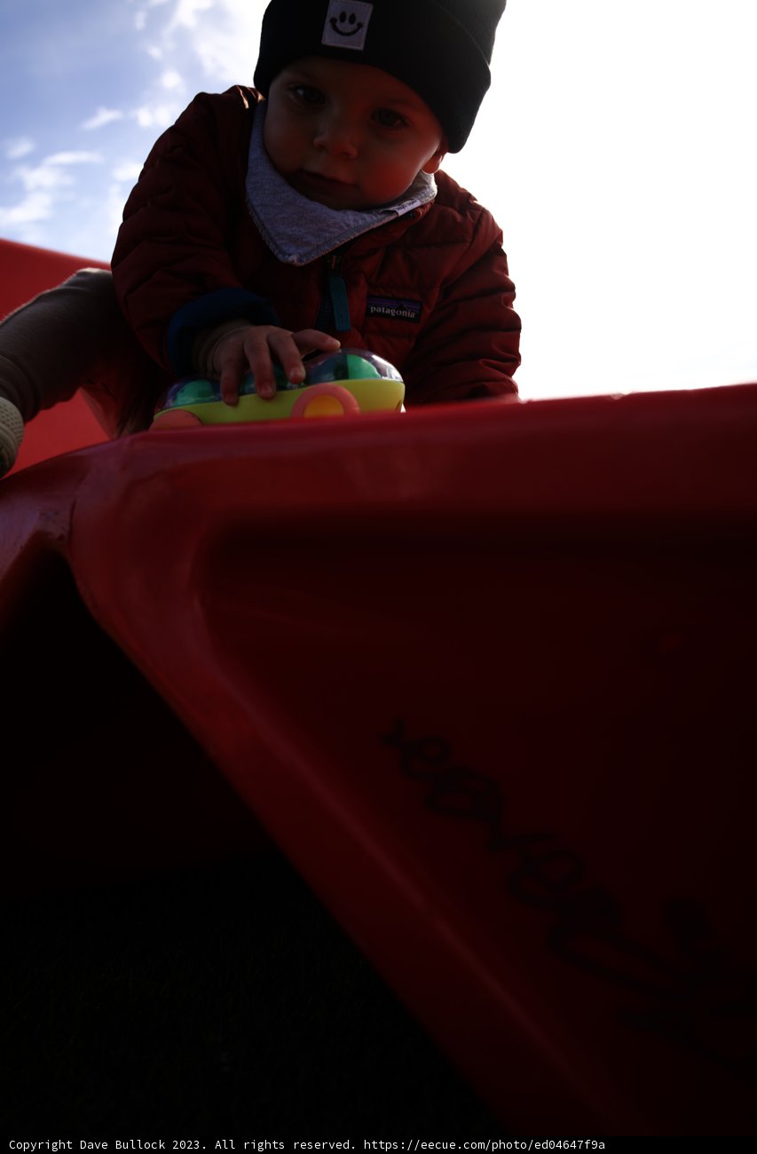 Adventure in the Park: Summer 2023