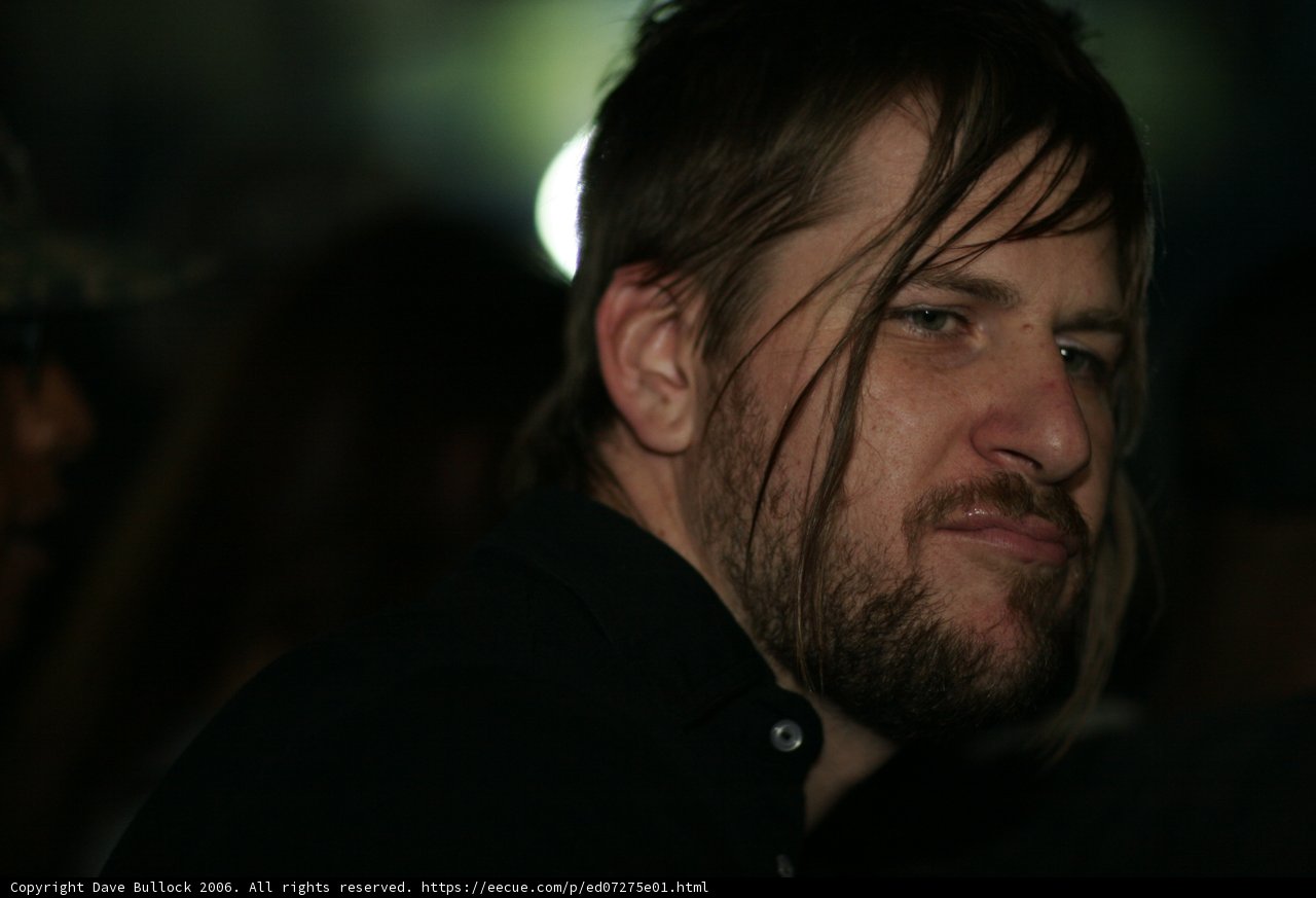 Bearded Partygoer