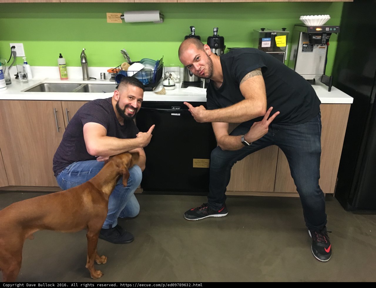 Kitchen Pals