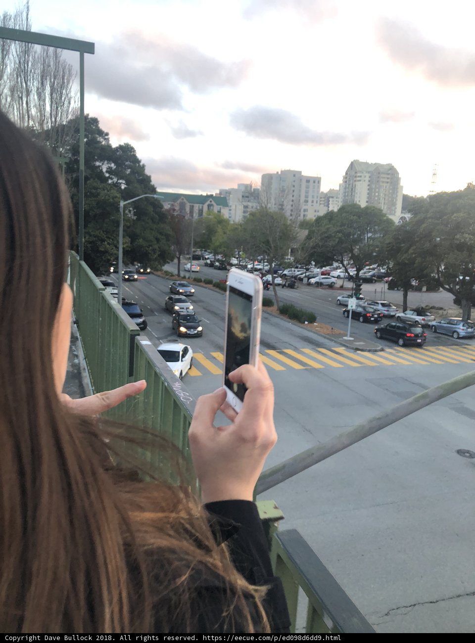 Snapshot of the Cityscape