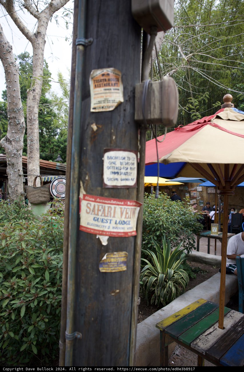 Stickered Storyteller at Disneyworld